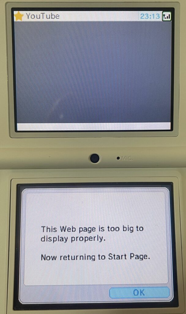 The DSi browser header is visible with "YouTube". A message box says "This Web page is too big to display properly. Now returning to Start Page."