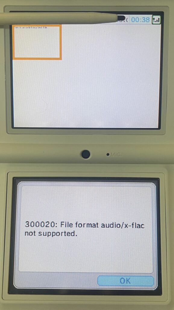 An error message of "300020: File format audio/x-flac not supported." is visible.